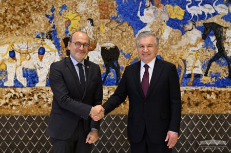 Президент Узбекистана провел встречу с главой Французского агентства развития