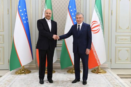 Президент Узбекистана обсудил с главой Парламента Ирана вопросы расширения многопланового сотрудничества