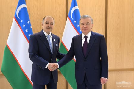 Uzbek President Discusses Projects with Air Products Company