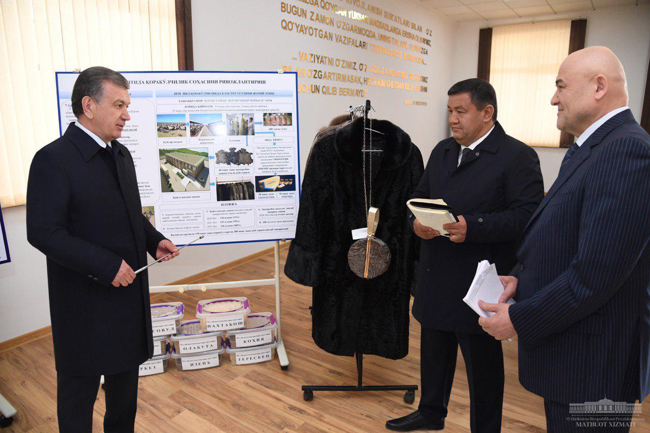 Shavkat Mirziyoyev Familiarized with BCT Cluster in Romitan District