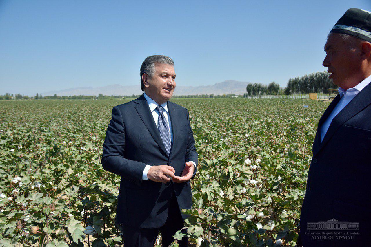 Shavkat Mirziyoyev: The main goal is to increase the incomes of farmers