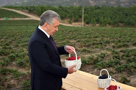 news-image