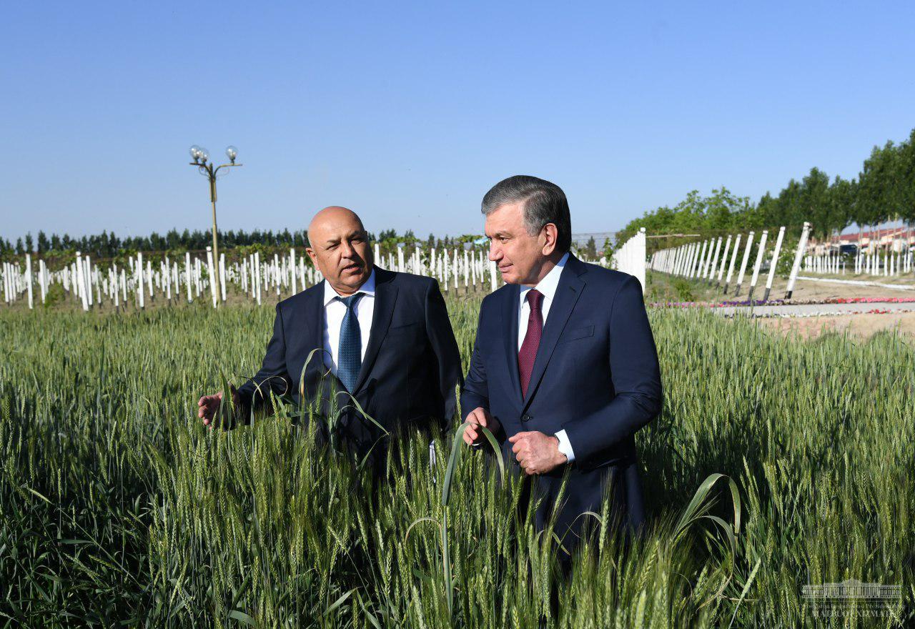 Shavkat Mirziyoyev: Profitability the main criterion in all sectors of the economy