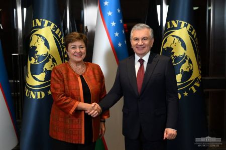 The President of Uzbekistan Discusses New Interaction Areas with the IMF Managing Director