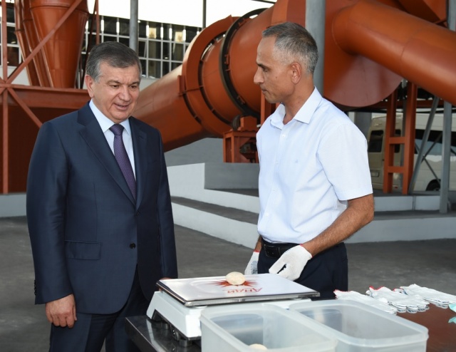 President Shavkat Mirziyoyev got acquainted with projects on building materials production