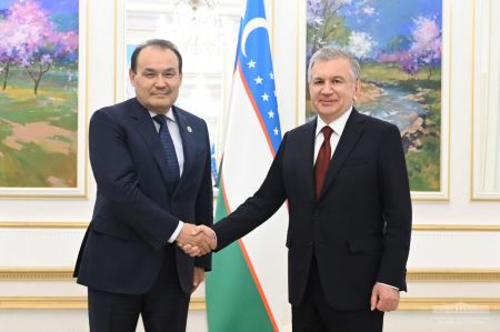 President of Uzbekistan Discusses with the OTS Secretary-General the Preparations for the Samarkand Summit