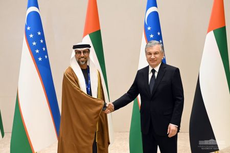 Президент Узбекистана обсудил с делегацией ОАЭ возможности углубления многопланового сотрудничества