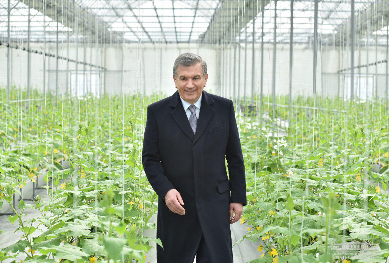 Selected products are grown in hydroponic greenhouses