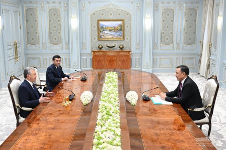 Uzbek President Notes Importance of Further Development of Mutually Beneficial Cooperation Within the Organization of Turkic States
