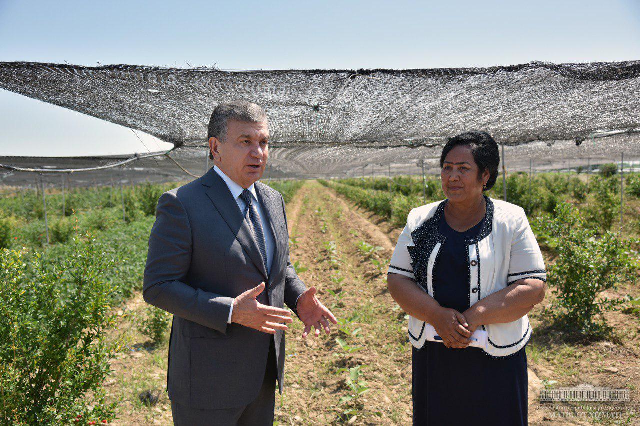 Shavkat Mirziyoyev: mehnat va xarajatga nisbatan ko‘p daromad olish uchun ilm kerak 