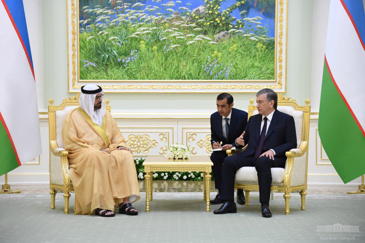 The President of Uzbekistan receives United Arab Emirates delegation