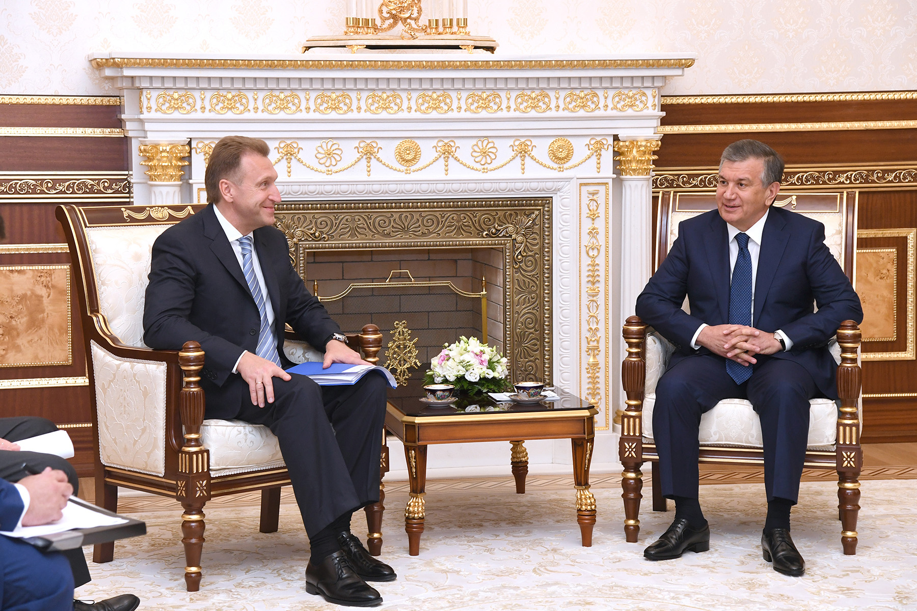 President receives the First Deputy Prime Minister of the Russian Federation