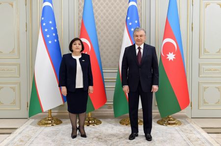 President Receives Head of Azerbaijani Parliament