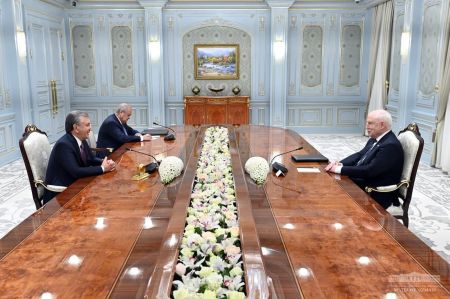 President Receives the Head of the CIS Observer Mission