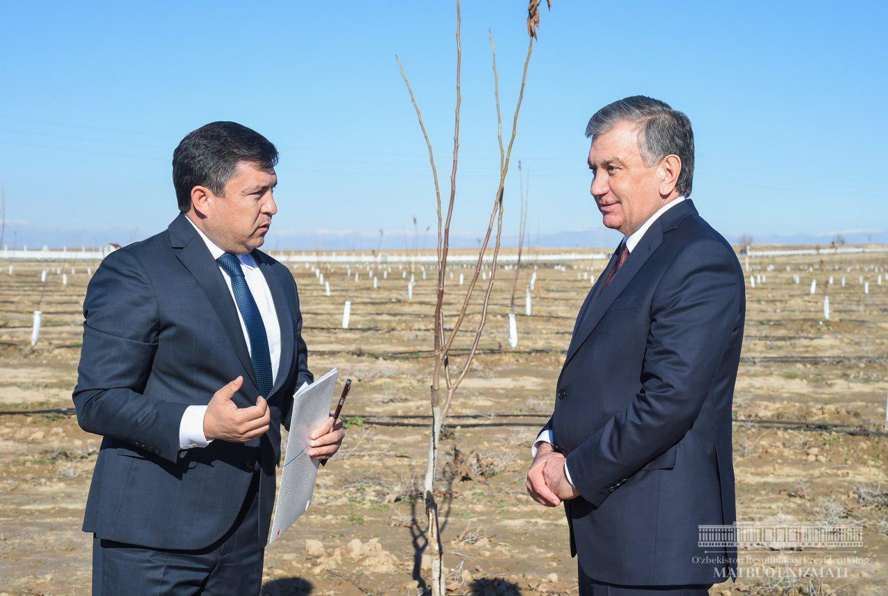 Shavkat Mirziyoyev: The purpose of taken measures is to make people rich