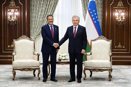 Uzbek President Considers Implementation of Priority Investment Projects with Saudi Arabia