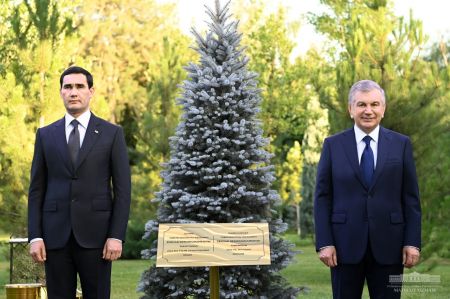 Turkmaniston Prezidenti Faxriy mehmonlar xiyobonida daraxt ekdi