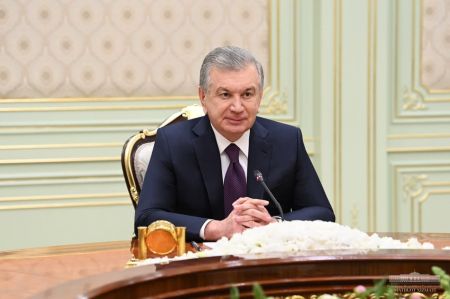 President of Uzbekistan Receives Director of the OSCE Office for Democratic Institutions and Human Rights