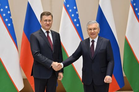 President of Uzbekistan underlines the significance of expanding mutually beneficial cooperation with Russia in energy sector