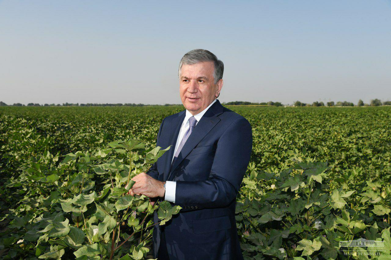 Shavkat Mirziyoyev talks with representatives of Syrdarya region