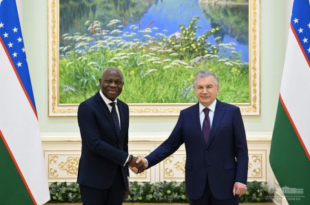 Президент Узбекистана высоко оценил плодотворное сотрудничество с Международной организацией труда