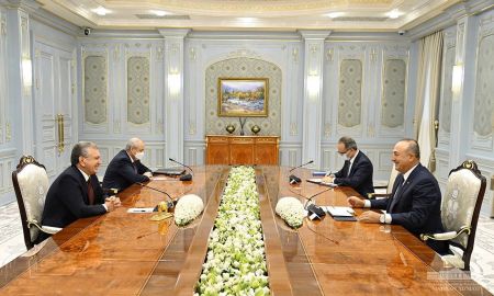 President of Uzbekistan Receives Turkish Delegation