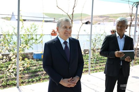 Президент Шавкат Мирзиёев ознакомился с эффективным использованием приусадебных участков