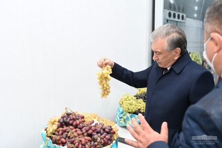 President Gets Acquainted With Fish Farming Cluster and Agricultural Projects