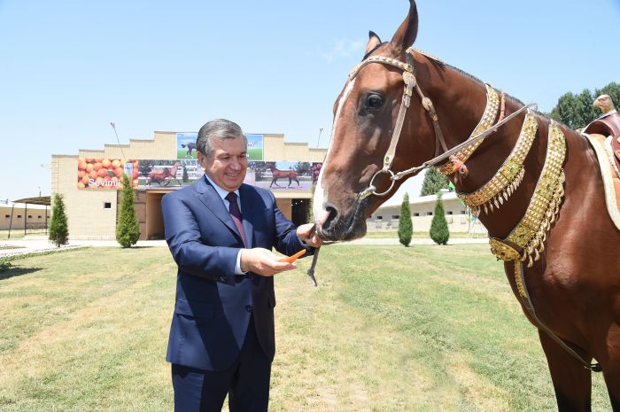 President Mirziyoyev visits “Uzbegim otlari” stud farm in Urtachirchik district